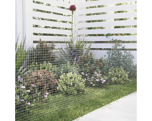 Tuinscene met draadomheining, planten en gazon