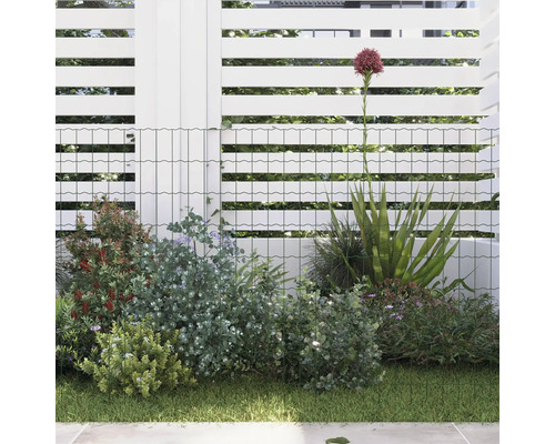 Tuinscene met hek en weelderige beplanting