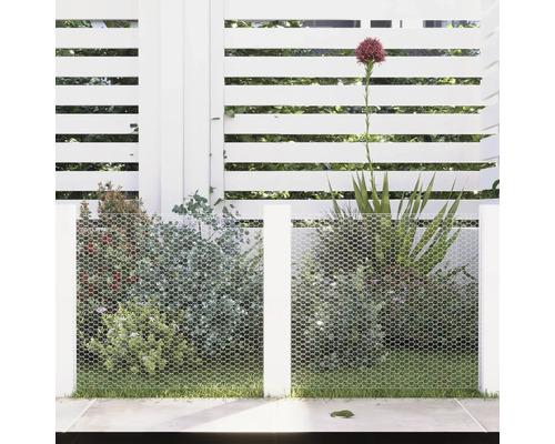 Tuinscene met wit hek, gaashekwerk en beplanting