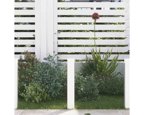 Tuinscene met privacy scherm, beplanting en gazon