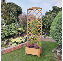 Houten plantenbak met klimrek in de tuin
