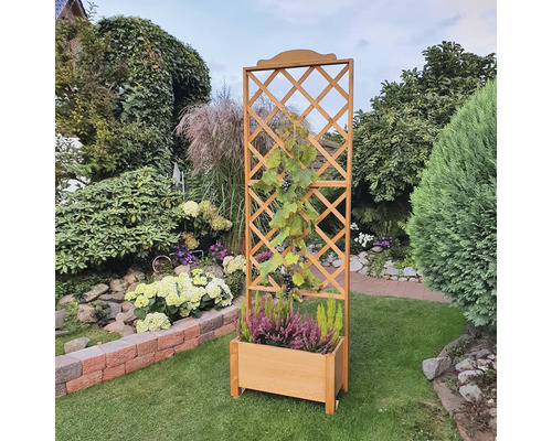 Houten plantenbak met klimrek in de tuin