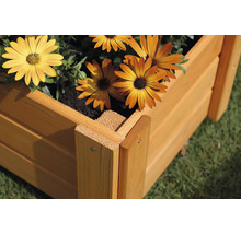 Houten plantenbak met gele bloemen in de tuin