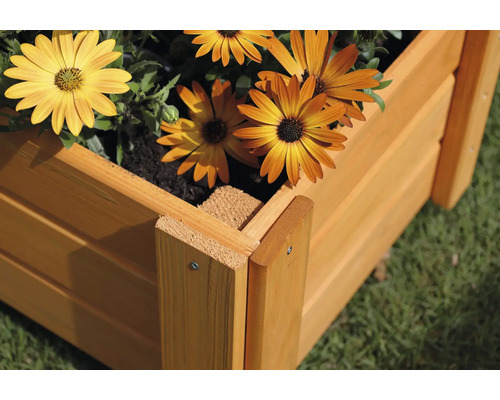 Houten plantenbak met gele bloemen in de tuin