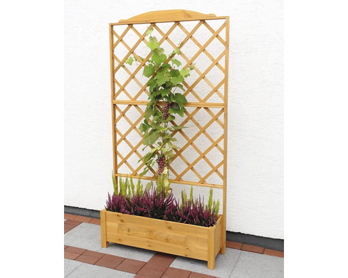 Houten plantenbak met klimrek en planten