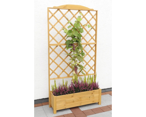 Houten plantenbak met klimrek en beplanting