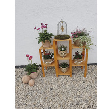 Plantentafel 98 x 32 x 88 cm