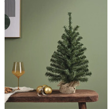 Kleine onversierde kerstboom op een tafel