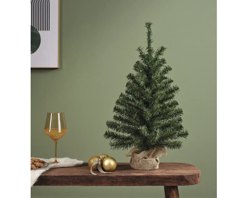 Kleine onversierde kerstboom op een tafel