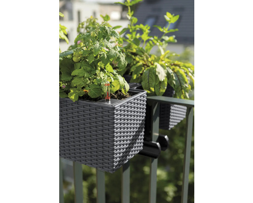 Balkonbak met planten, bevestigd aan een reling.