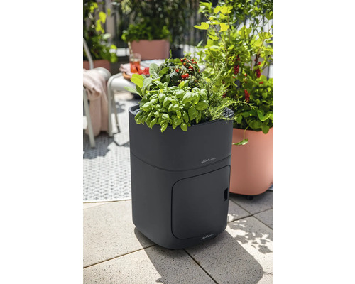 Verhoogde tuinbak met kruiden en tomatenplanten op een terras