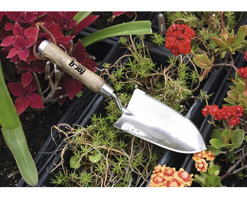 Tuinschep van roestvrij staal met houten handvat tussen planten