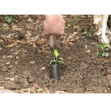 Een persoon plant een kleine plant met een plantstok in de grond.