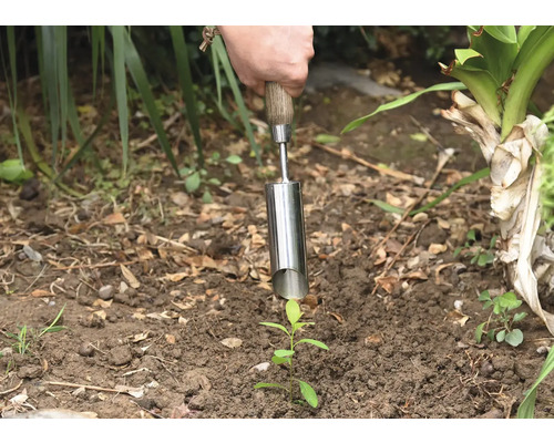 Persoon plant zaailing in de grond met een plantstok.