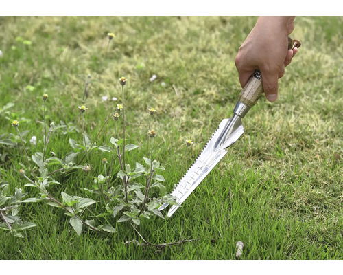 Close-up van een hand die een onkruidsteker in het gras houdt