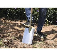 Een persoon gebruikt een spade met houten handvat in de tuin om grond uit te graven.