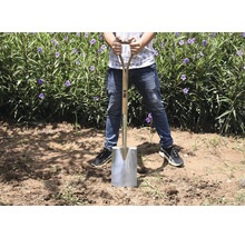Een persoon staat met een spade met houten handvat en stalen blad op een veld met planten.