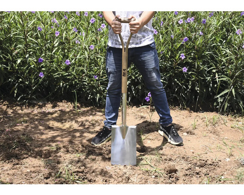 Een persoon staat met een spade met houten handvat en stalen blad op een veld met planten.