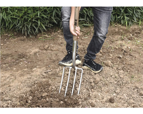 Persoon die een spade met vier tanden in de grond steekt, voor tuinieren