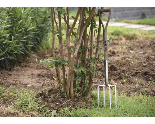 Stalen tuinvork met houten handvat staat in de tuin naast een struik.