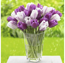Tulpenboeket in glazen vaas