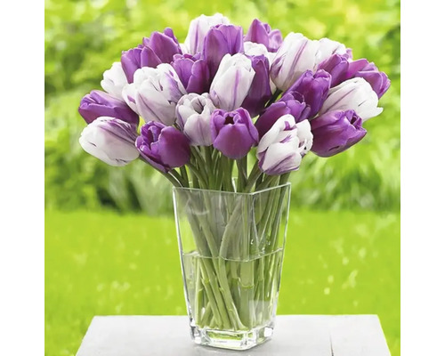 Tulpenboeket in glazen vaas