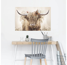 Decoratieve afbeelding van een Schotse hooglander met bloemenkroon boven een bureau.