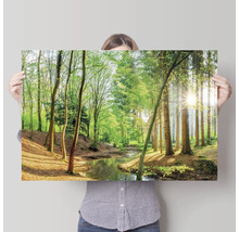 Vrouw houdt een poster vast met een bos en een beekje.