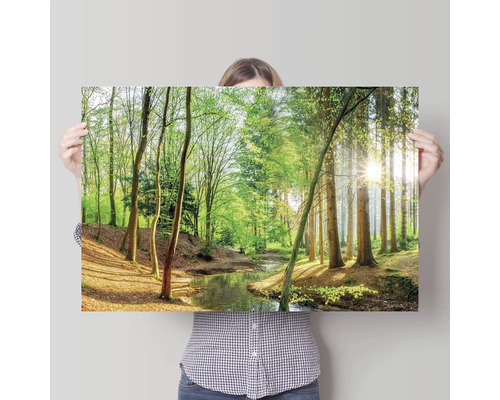 Vrouw houdt een poster vast met een bos en een beekje.