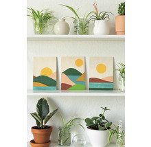 Plank met planten en drie landschapsschilderijen
