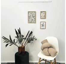 Decoratieve woonomgeving met planten, schilderijen en zitgelegenheid