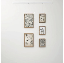Galerijfoto met vijf houten lijsten en botanische motieven, opgehangen aan een railsysteem