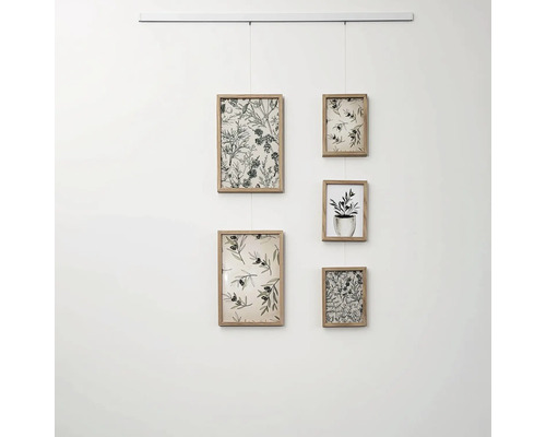 Galerijfoto met vijf houten lijsten en botanische motieven, opgehangen aan een railsysteem