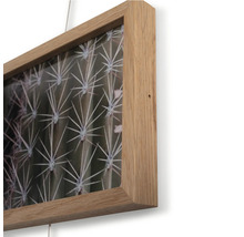 Ingelijste foto met cactusmotief en houten frame