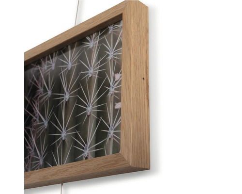 Ingelijste foto met cactusmotief en houten frame