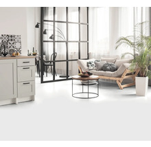 Woonkamer met bank, salontafel, kamerplant en kitchenette