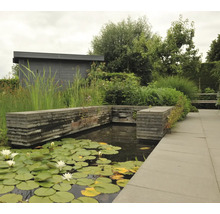 Tuinvijver met waterlelies, omgeven door stenen muren en planten