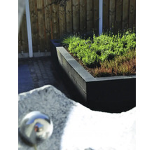 Verhoogde tuin met planten en houten schutting