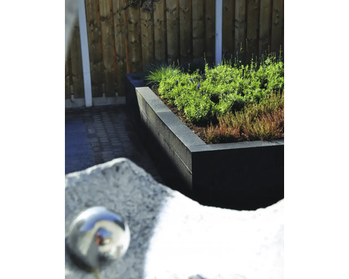 Verhoogde tuin met planten en houten schutting