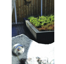 Betonnen plantenbak met beplanting voor een houten schutting