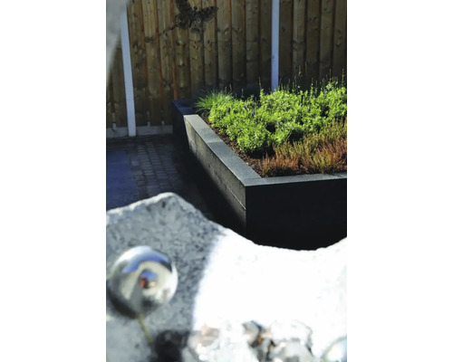 Betonnen plantenbak met beplanting voor een houten schutting