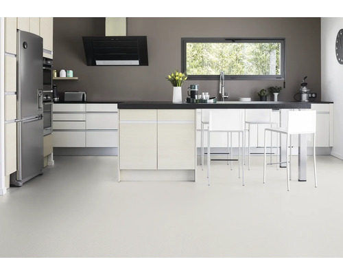 Moderne keuken met kookeiland, koelkast, afzuigkap en raam