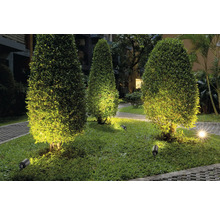 Tuinlandschap met boomstruikverlichting