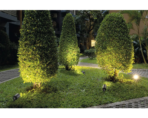 Tuinlandschap met boomstruikverlichting