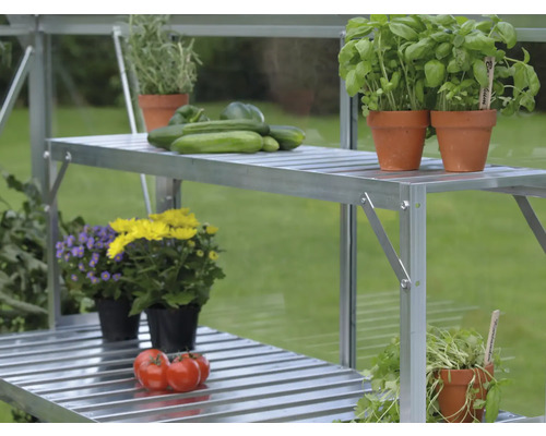 Kweekkasrek met planten, kruiden, komkommers en tomaten.