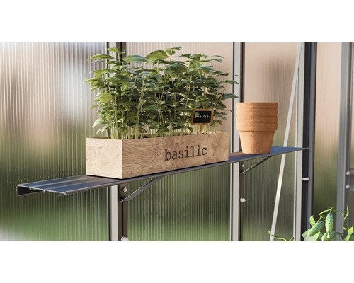 Basilicum in houten kist met kruidenbord en stapel terracotta potten op een plank in de kas