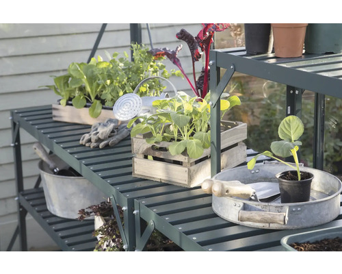 Tuinrek met planten, gieter en tuingereedschap in een kas.