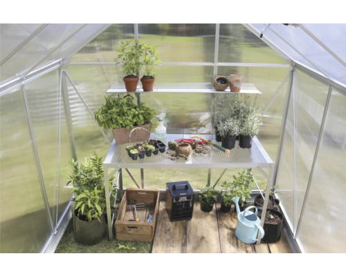 Binnenaanzicht van een kas met planten op planken en een tafel