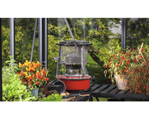 Kasoverzicht met petroleumkachel en potplanten op een plank