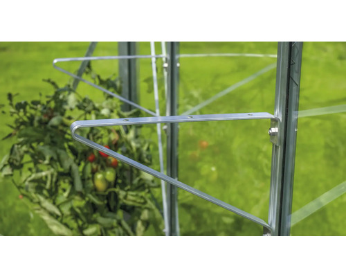 Gedetailleerde opname van een tomatensteun in een kas